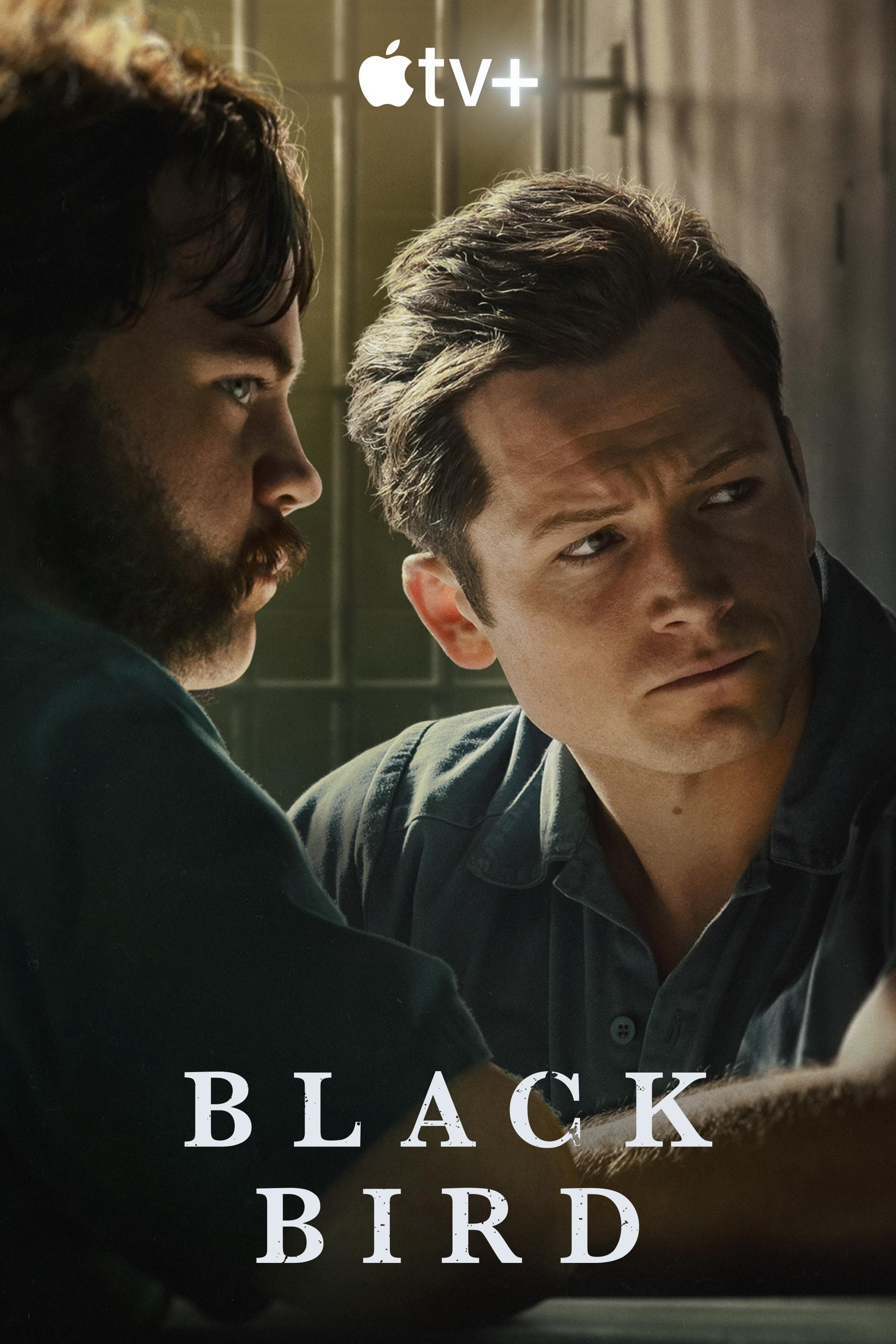 Black Bird poster