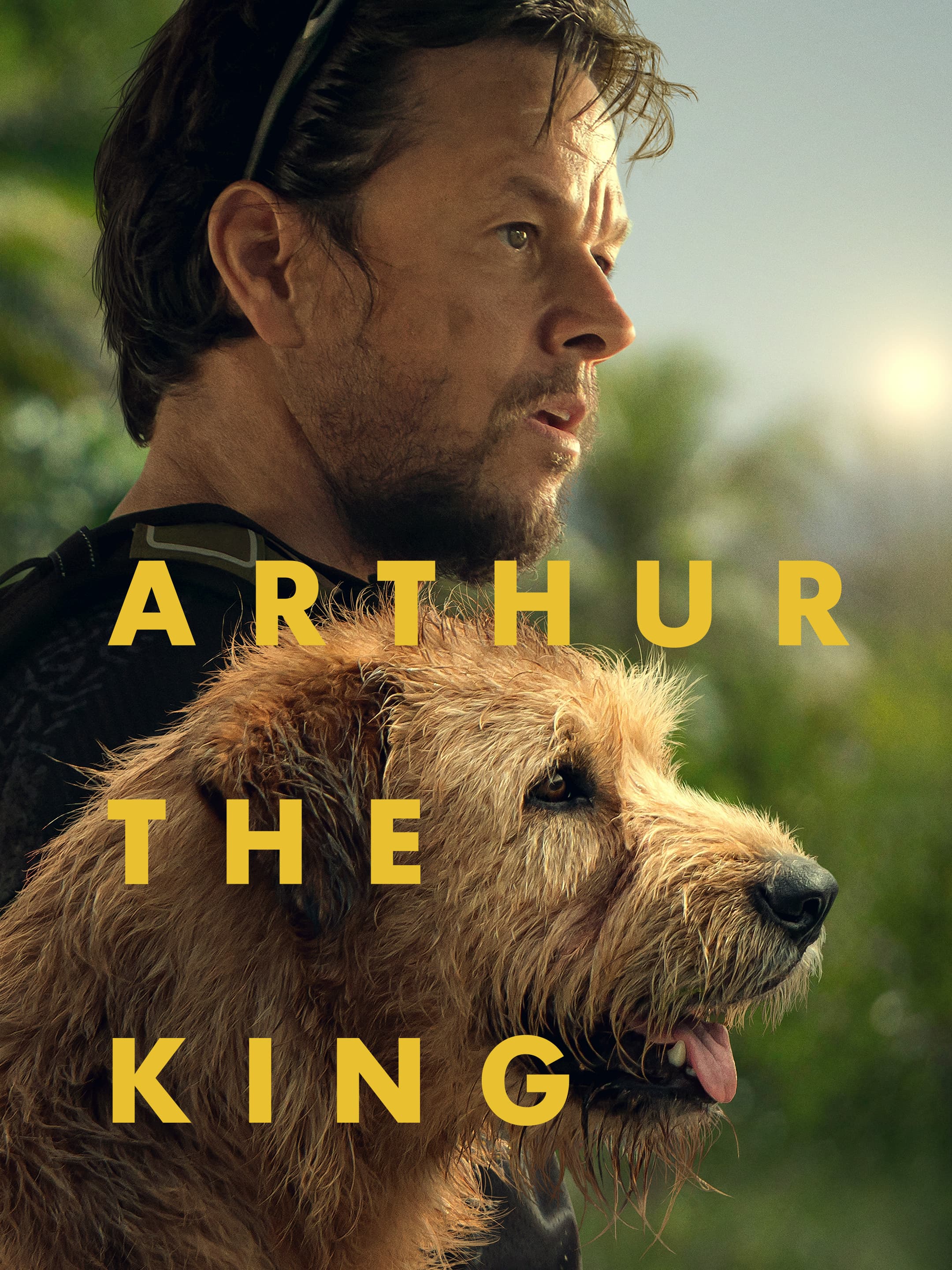 Arthur the King poster
